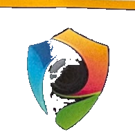 DSS Smart Surveillance logo